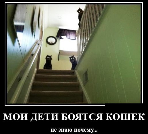 Подборка интересных и смешных картинок