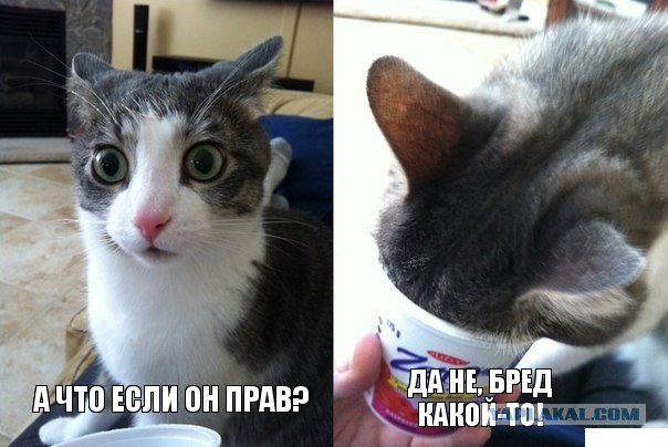 А что, если...