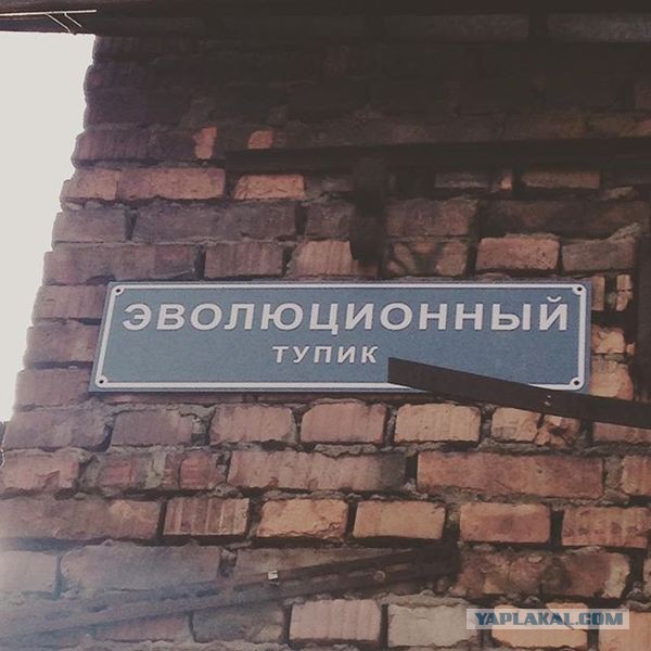 День нефтяника: Искупался в мазуте