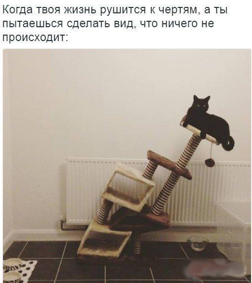 Порция воскресных картинок