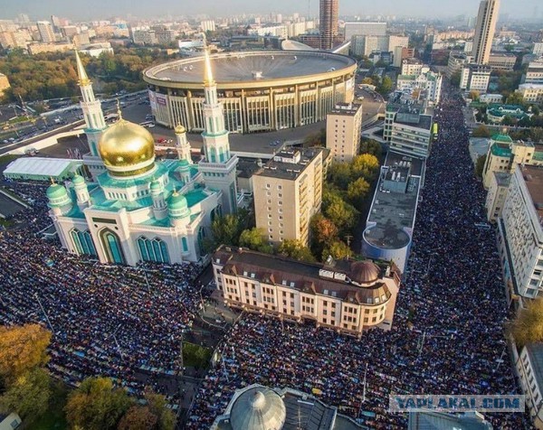 Тараканы нужны планете. У них своя миссия на Земле