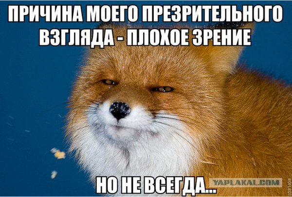 Хочу чаще, чем жена может. Посоветуйте чего, а?