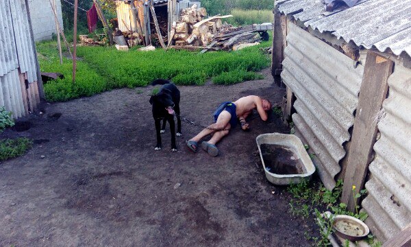 Скотсети и прочие интернеты 05.03.18