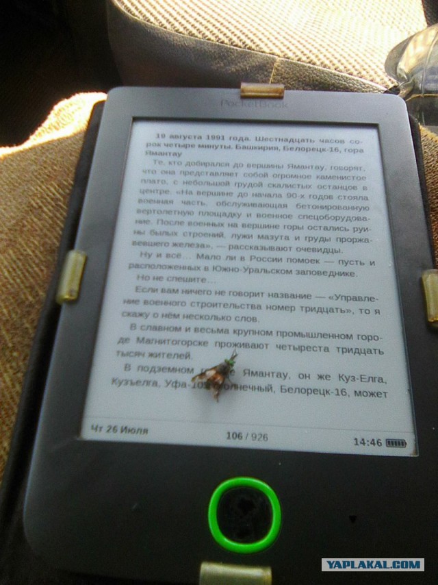 Командировка. В леса