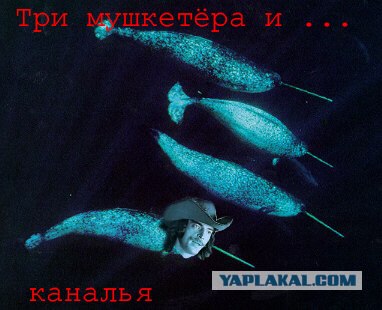 Морской Единорог