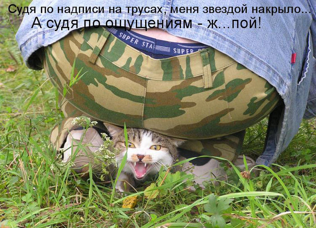 Котовторник 15.02.2011