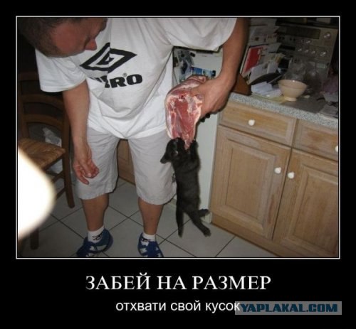 Наблюдатель