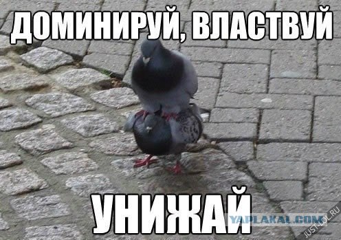 Мезальянс