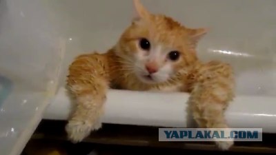 Увидел красивую фотку в инете