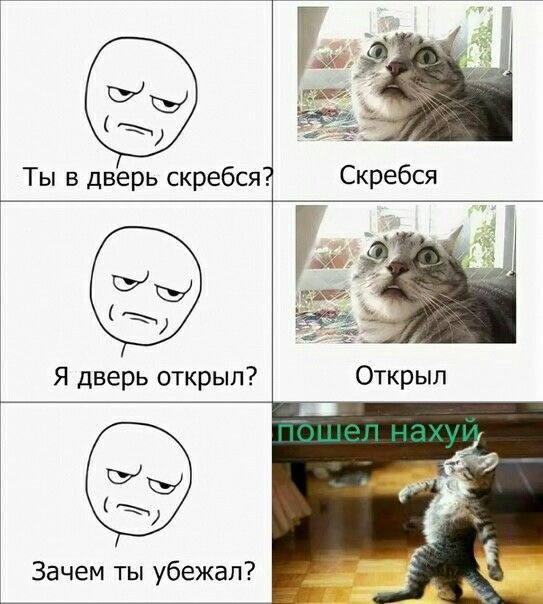 Комментарии, картинки всякие