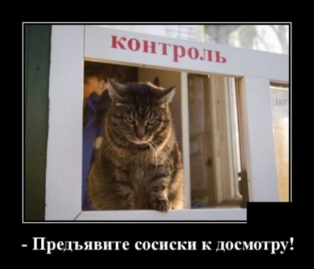 Очередная подборка картинок из интернета 15.12.19