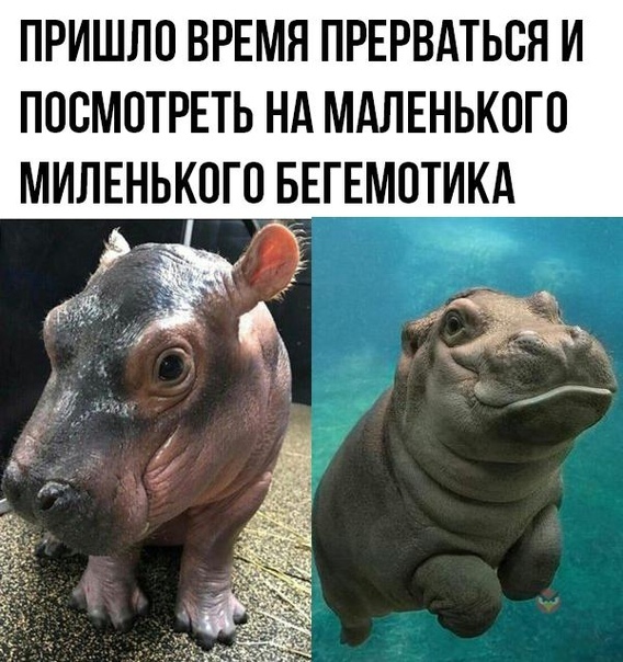 Так себе картинки 26.06.20