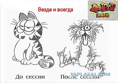 Фотожаба: ТВ программа