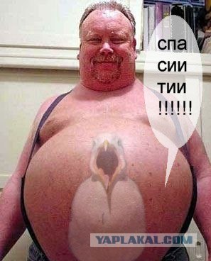 Чайка из Алькатраца