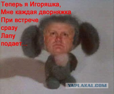 Анкета с сайта знакомств