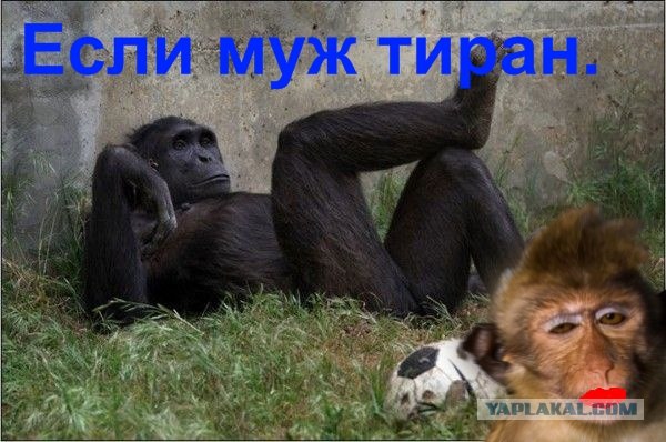 Проспал экзамен!