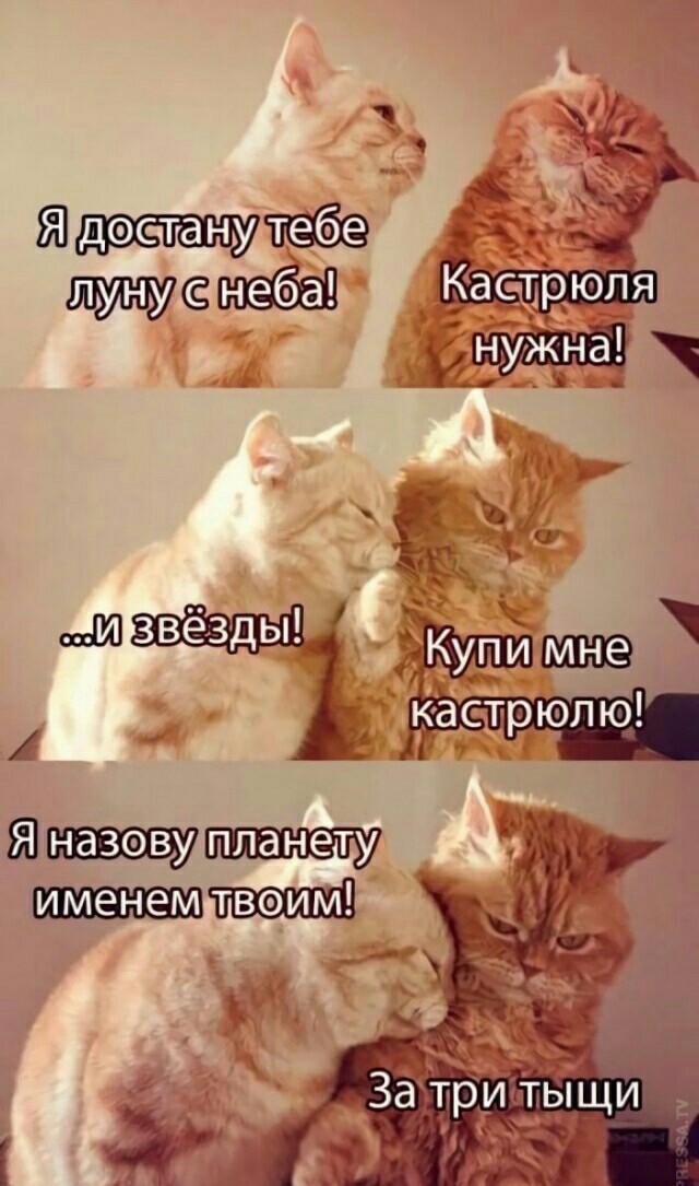 Бредзона 05.12.20