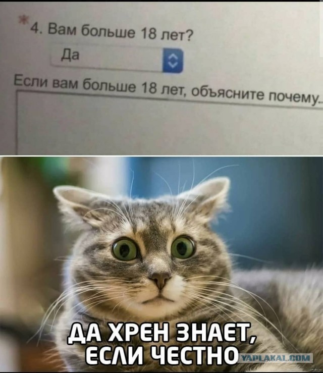 Мои картинки за 2020