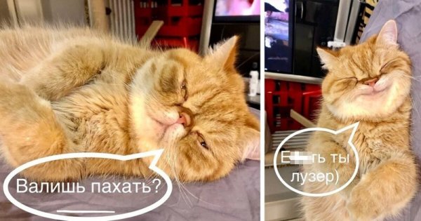 Картинки с надписями и всякие жизненные фразы 10.1.21