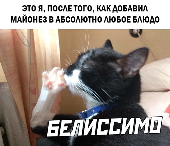 Весёлый полтишок 29.03