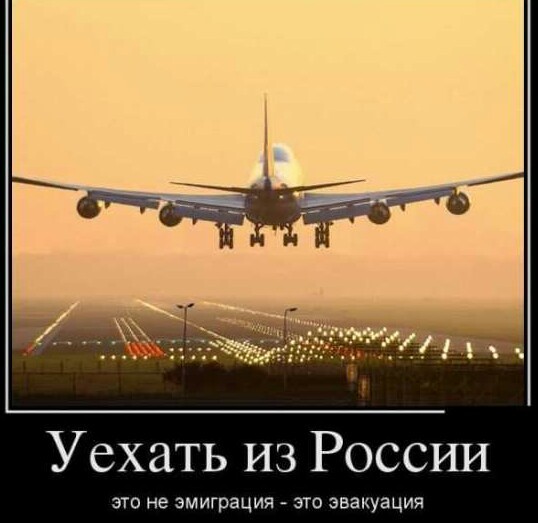 Любовь Соболь приговорили к 1,5 годам ограничения свободы по так называемому "санитарному делу"