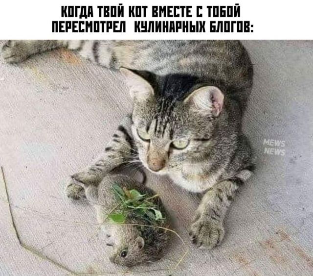 Так себе картинки 25.08.21