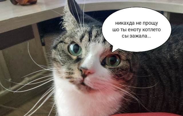43% женщин спали с коллегами по работе