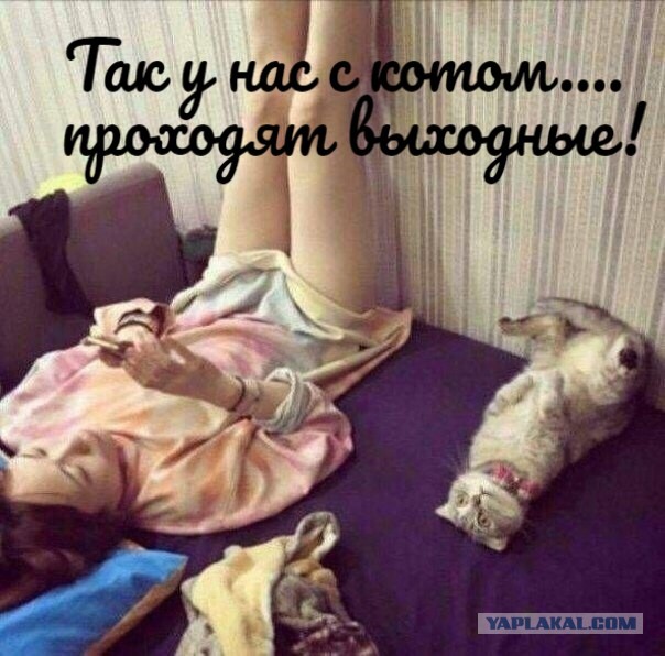 Девушкам пофиг на секс? Миф!