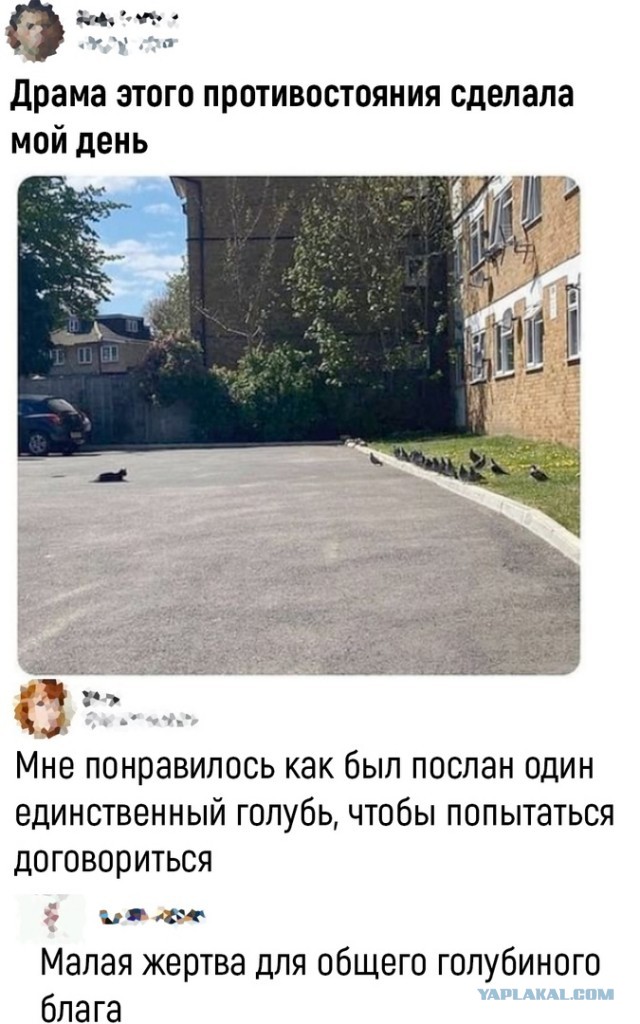 Так себе картинки 28.06.22