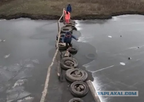 Деревянные мостки веремен неолита возрастом почти 6 тысяч лет
