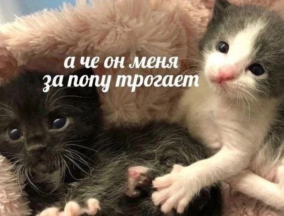Маленькая пятница