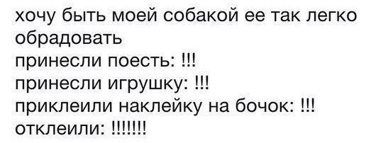 Всего понемногу. От 23.02.24