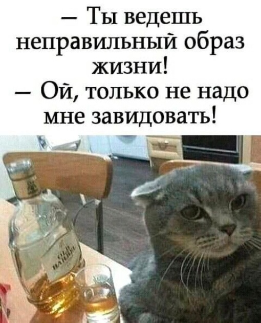 Забавные картинки, шутки из этих ваших интернетов