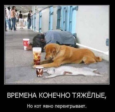 Помощник продавца весь в работе