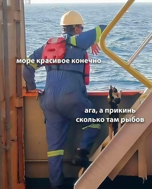 Немного забавных картинок