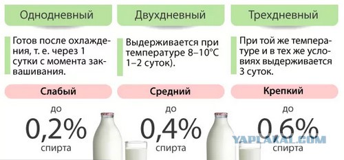 Можно ли в поезде пить пиво?