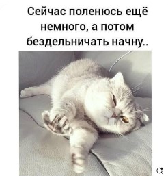 Всего понемногу. От 10.01.2025