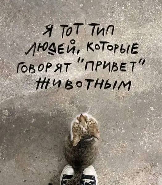 Картинки разные с надписями и без