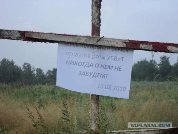 Не все поймут