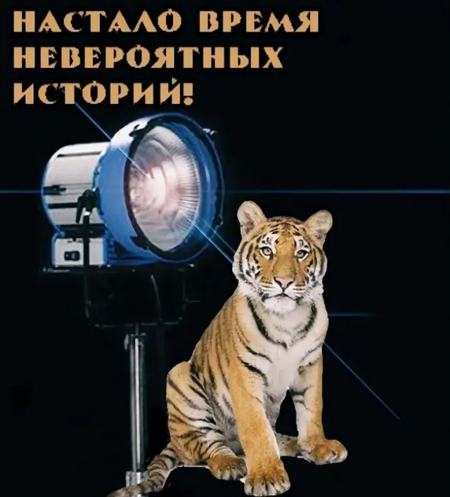 С какими дурачками вы сталкивались?
