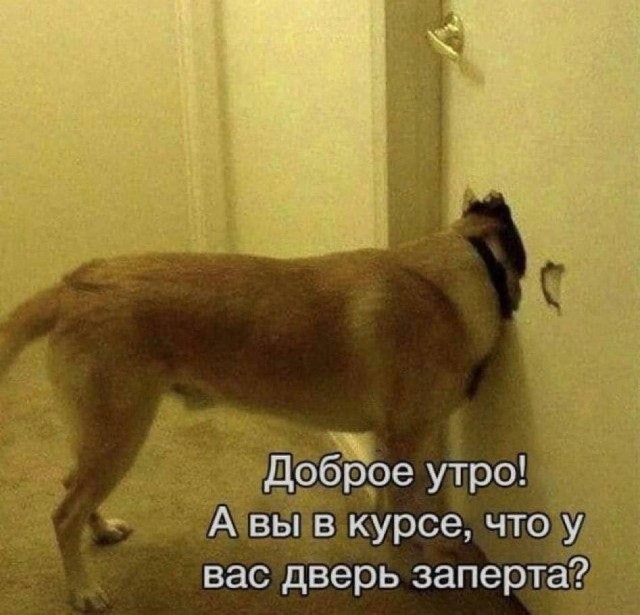 Картинки для деградации 8 ( разной степени свежести)