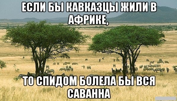 Внезапная соточка дичи