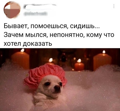 Папа, а кто такой диктатор?