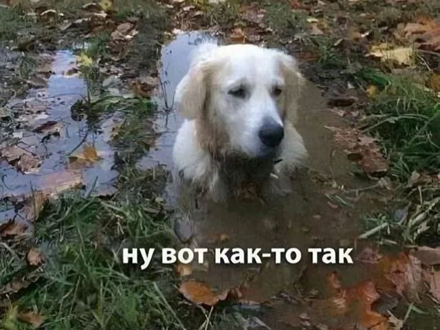 Сборник чтобы подеградировать - 20