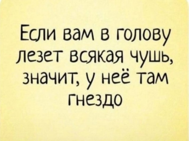 Прикольные и просто красивые картинки 17.10.2025