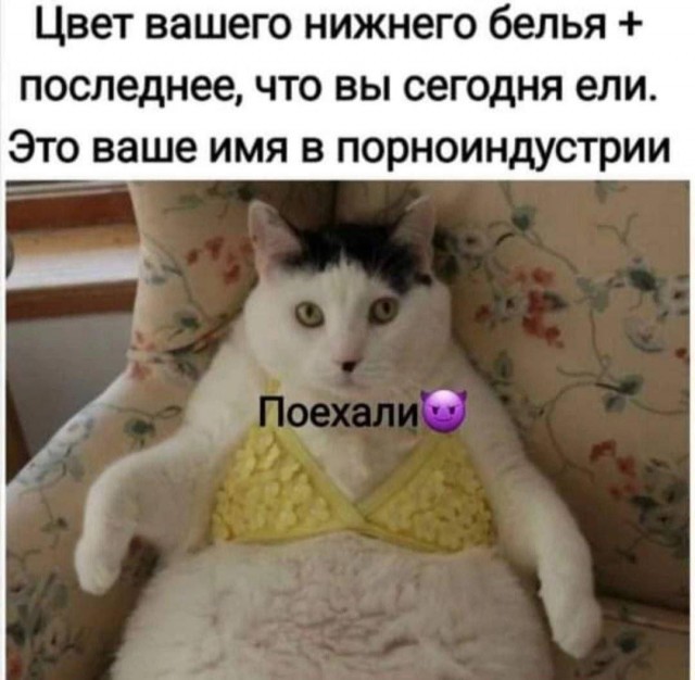 Деградация с баяном