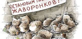 Женщина приехала в Москву из Лос-Анджелеса и сравнила темп жизни в российской столице и городе в Калифорнии