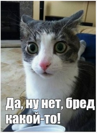 Силовики массово увольняются из полиции из-за низких зарплат и падения престижности работы