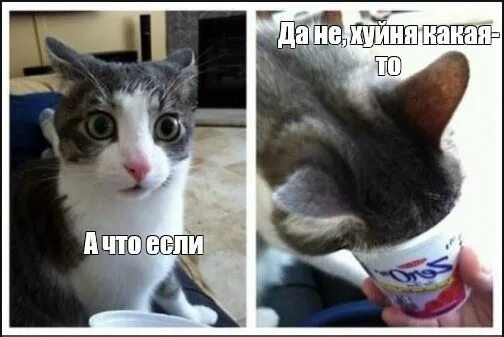 В Госдуме предложили запретить повышение цен на такси в непогоду