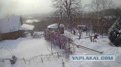 Плюсы загородного дома⁠